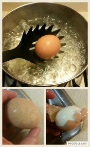 Collage 2016-05-30 06_45_43