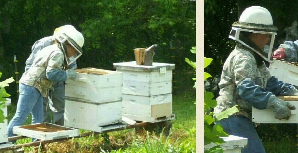 Raw Local Honey Vs Pasturized Store Bought Honey Preserving The Good Life