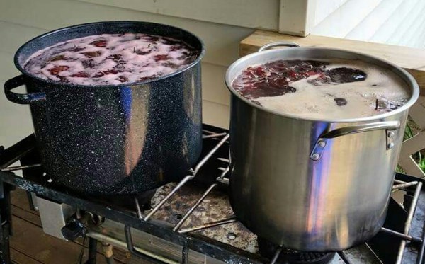 FB_IMG_1466420209270-1