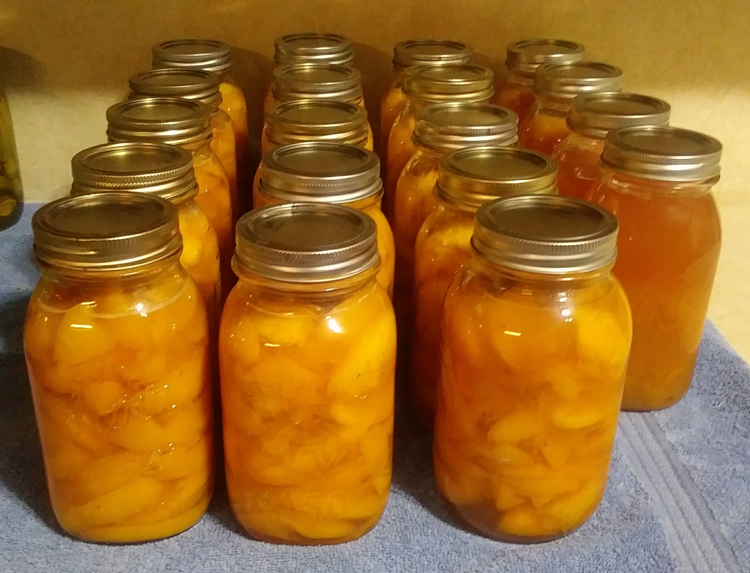Canning Peaches Hot Pack vs Raw Pack Preserving the Good Life